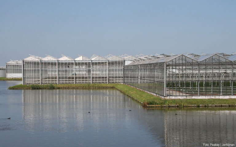 Vreemd vermogen landbouwbedrijven afgenomen, vooral in de glastuinbouw
