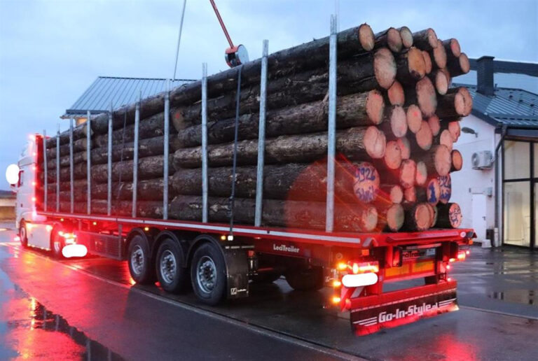 Duitse politie treft overtredingen aan bij houttransporten: Overbelading en gebrekkige ladingzekering