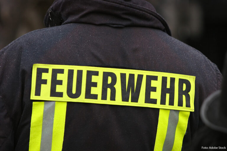 Vrachtwagen botst op brugpijler: bijrijder overlijdt ter plaatse [+video]