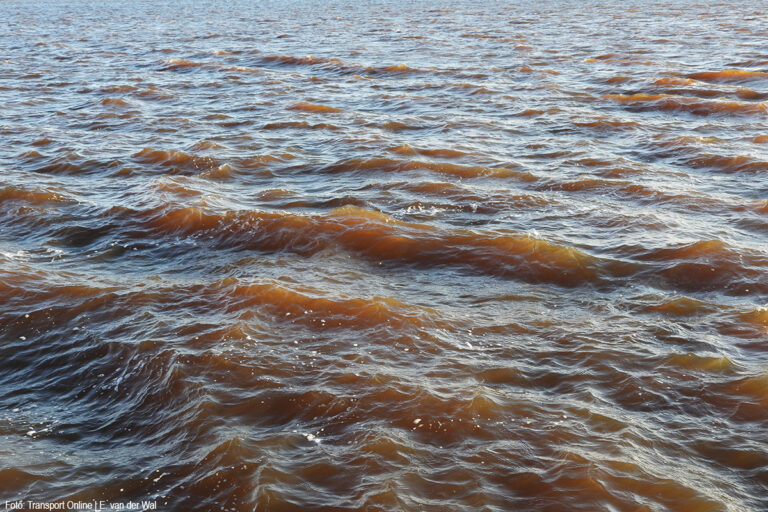 Vrouw verdronken in Waal nadat ze kinderen uit het water haalde