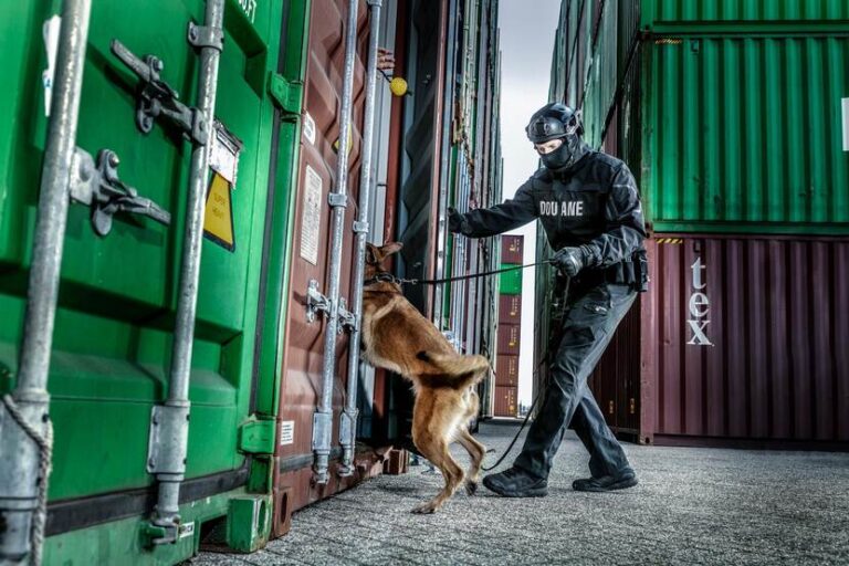 Dalende trend in havens: Douane onderschept minder cocaïne in 2024