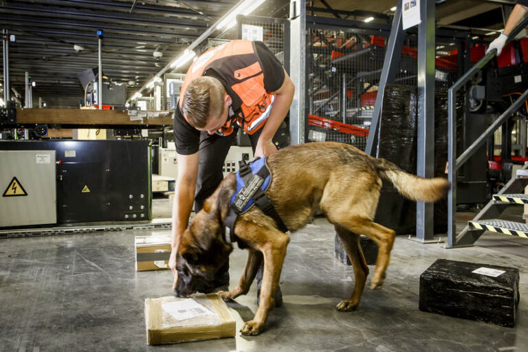 Slechte naleving regels door 79 procent bedrijven dat met explosievenhonden werkt