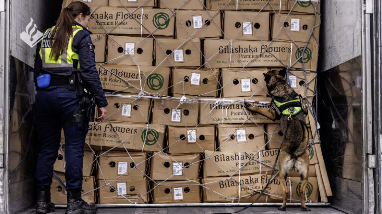 Relaties transportsector met georganiseerde misdaad ontdekt tijdens grote controle terrein Royal FloraHolland