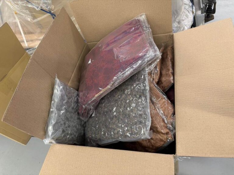 Douane onderschept ruim 150 kilo cannabis in luchtvracht op Schiphol