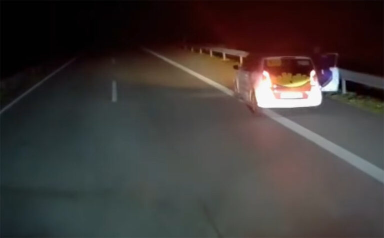 Vrachtwagenchauffeur meegesleurd door spookrijder op Duitse A28, verdachte aangehouden [+video]