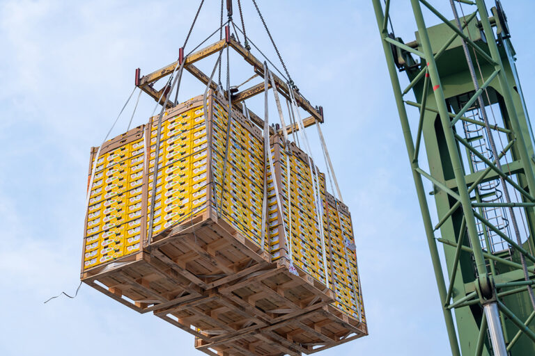 Eerste Zespri kiwi’s arriveren in Zeebrugge – Toegangspoort voor 2 miljard kiwi’s in Europa