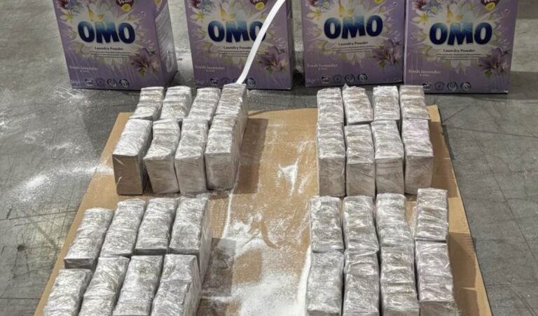 Douane onderschept 49 kilo hasj in haven van Vlissingen