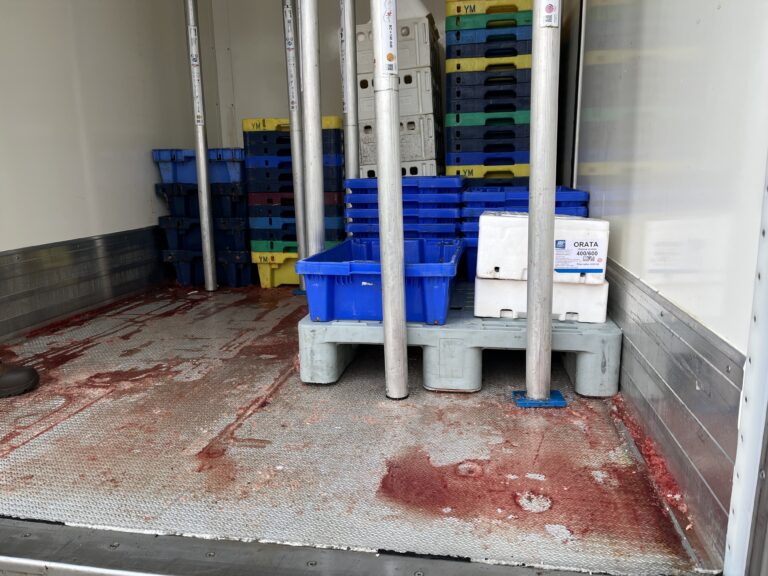 Grote controleactie op Duitse A2: ruim 200 overtredingen bij vrachtverkeer ontdekt