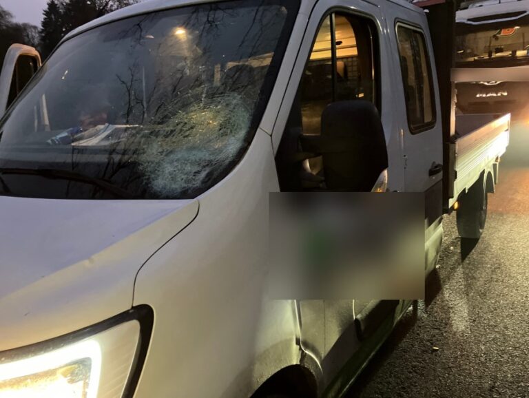 Vallende ijsplaat van rijdende vrachtwagen beschadigt bestelbus, Duitse politie zoekt getuigen [+foto’s]