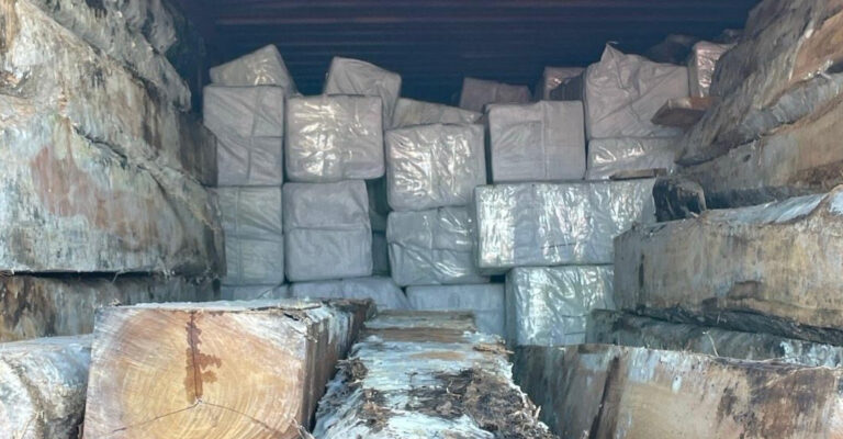 Verdachte (69) langer vast voor recordvangst van 4500 kilo cocaïne in Amsterdamse haven