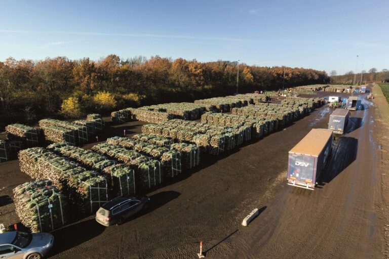 Miljoenen kerstbomen onderweg: logistieke kerstoperatie bij DSV [+foto’s]