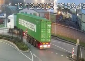 gestolen container en chassis Botlek Rotterdam