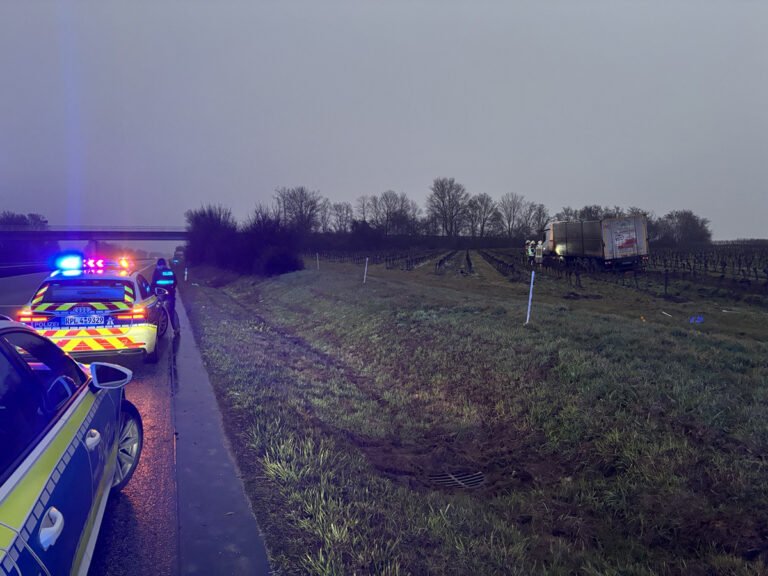 Vrachtwagen raakt van de weg op Duitse A61 en belandt in wijngaard, chauffeur wilde gevallen wafel oprapen