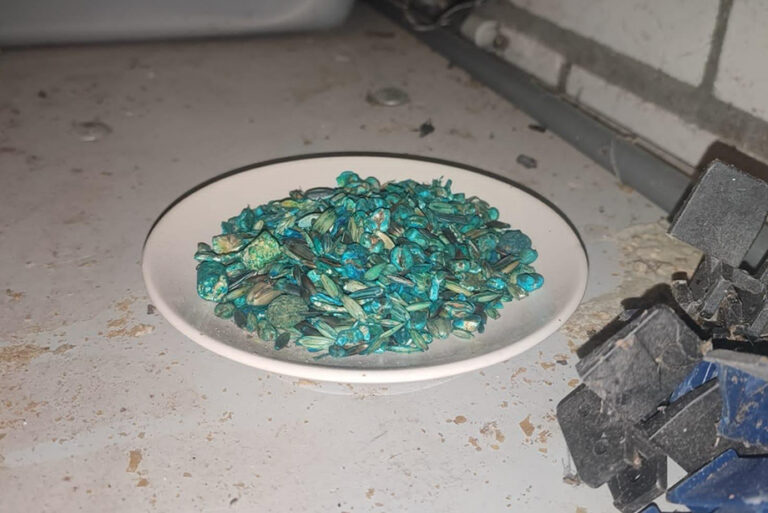 ILT pakt illegale aankoop van ratten- en muizengif bij buitenlandse webshops aan