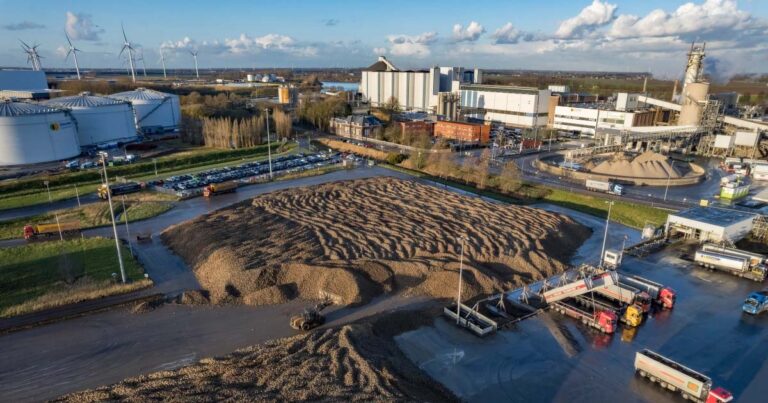 Bietencampagne 2025 succesvol afgerond: recordopbrengst ondanks uitdagende slotfase