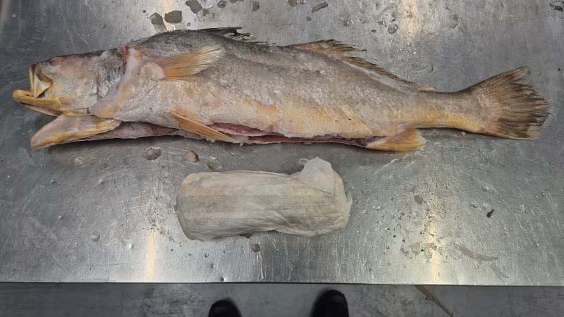 Ruim 300 kilo cocaïne aangetroffen in lading diepgevroren vis in Barneveld