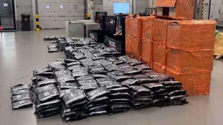 Niet-Europese hennep blijkt lucratief ‘gat in de markt’ voor Nederlandse drugscriminelen