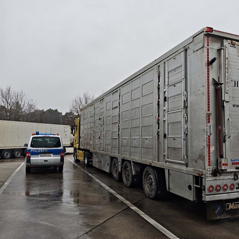 17 overtredingen bij gerichte controle op diertransporten op Duitse A2 en A7 [+foto’s]