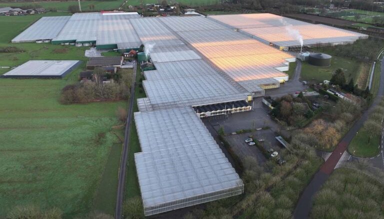 Wim Beelen start Jongerius Houten door na faillissement