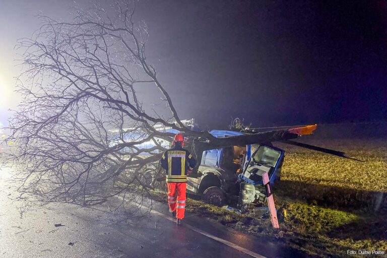 Vrachtwagen belandt in berm na botsing met boom op Duitse B214