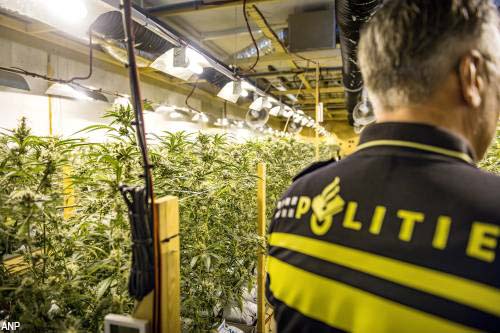 Een derde meer anonieme tips over misdaad in 2025