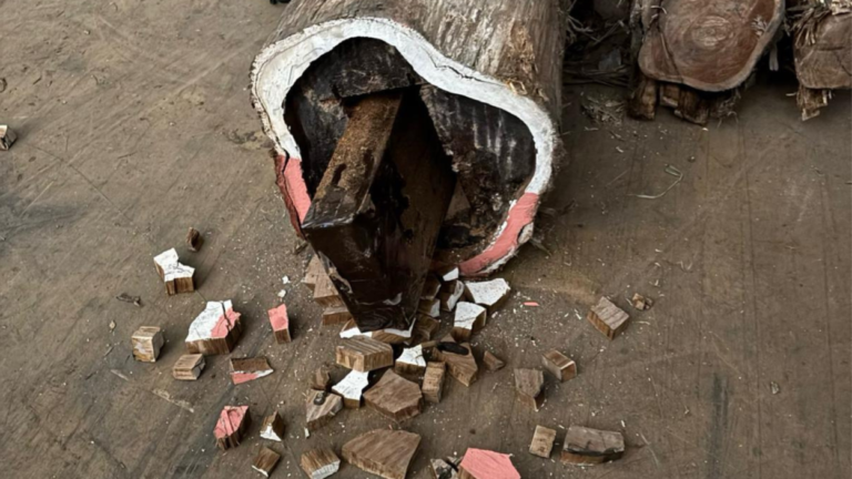 Twee celstraffen opgelegd en twee vrijspraken in zaak rond 152 kilo cocaïne in boomstammen