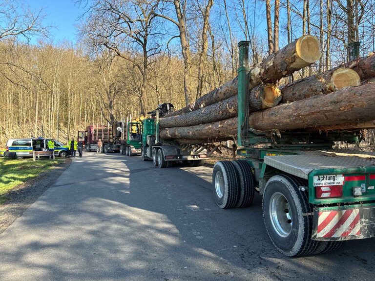 Controle houttransport in Duitsland levert duizenden euro’s aan boetes op [+foto’s]