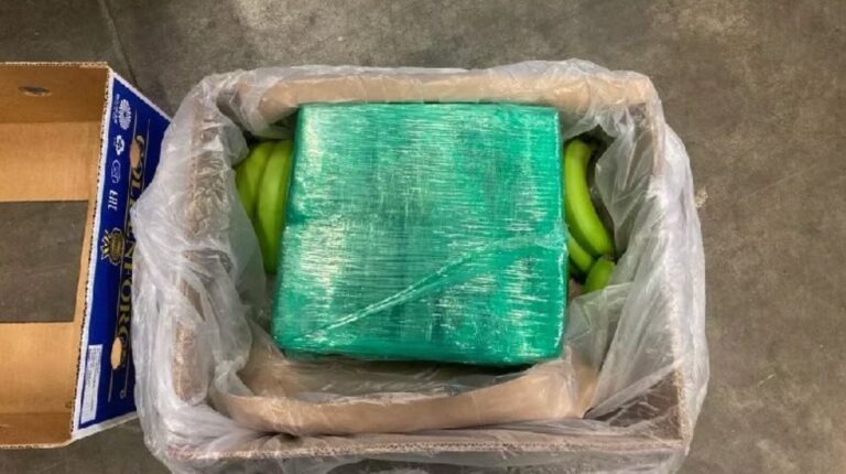 Tot 12 jaar cel geëist voor rol in grootschalige cocaïne-invoer via fruittransporten