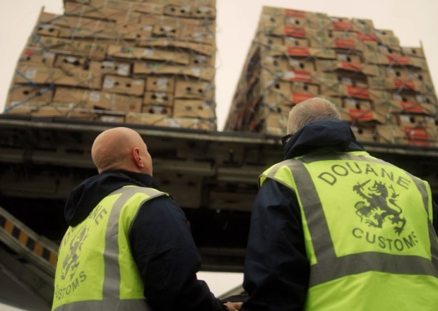 Maastricht Aachen Airport erkend als inspectielocatie voor groenten, fruit en bloemen