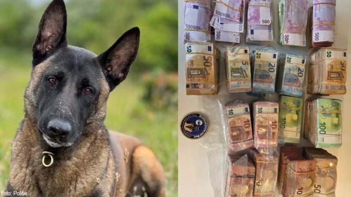 speurhond vindt tas met 7 ton in Barendrecht