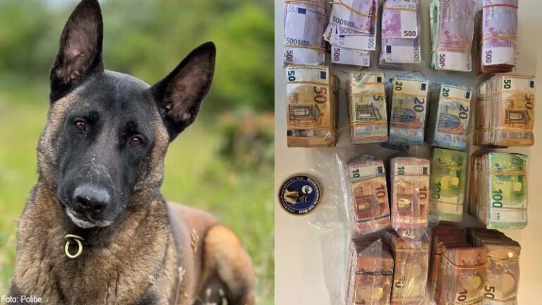 Speurhond vindt tas met ruim 700.000 euro in Barendrecht