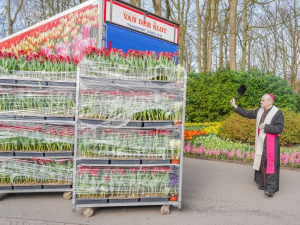Bloemen vanuit Keukenhof op weg naar Vaticaan: Van der Slot verzorgt transport naar Rome