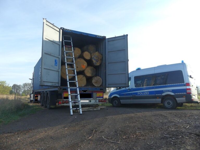 Politie grijpt in bij onveilig geladen container met eikenhout: vervoer verboden [+foto’s]