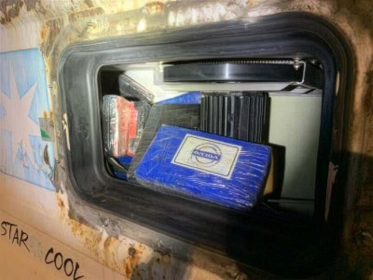 Douane onderschept 60 kilo cocaïne in container met bananen in Antwerpen