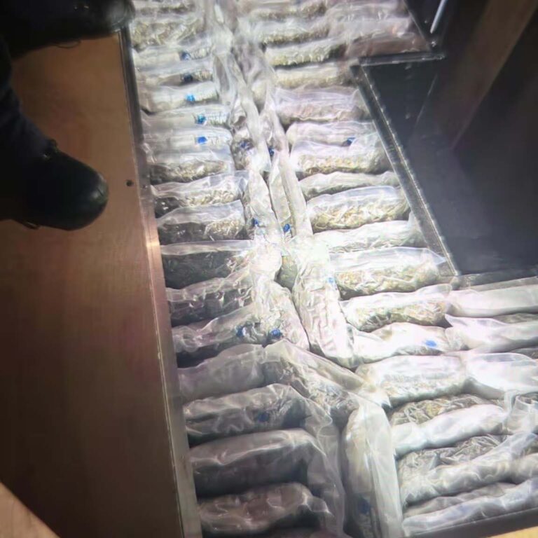 HARC-team onderschept 518 kilo cannabis in bestelbus uit Canada [+foto’s]