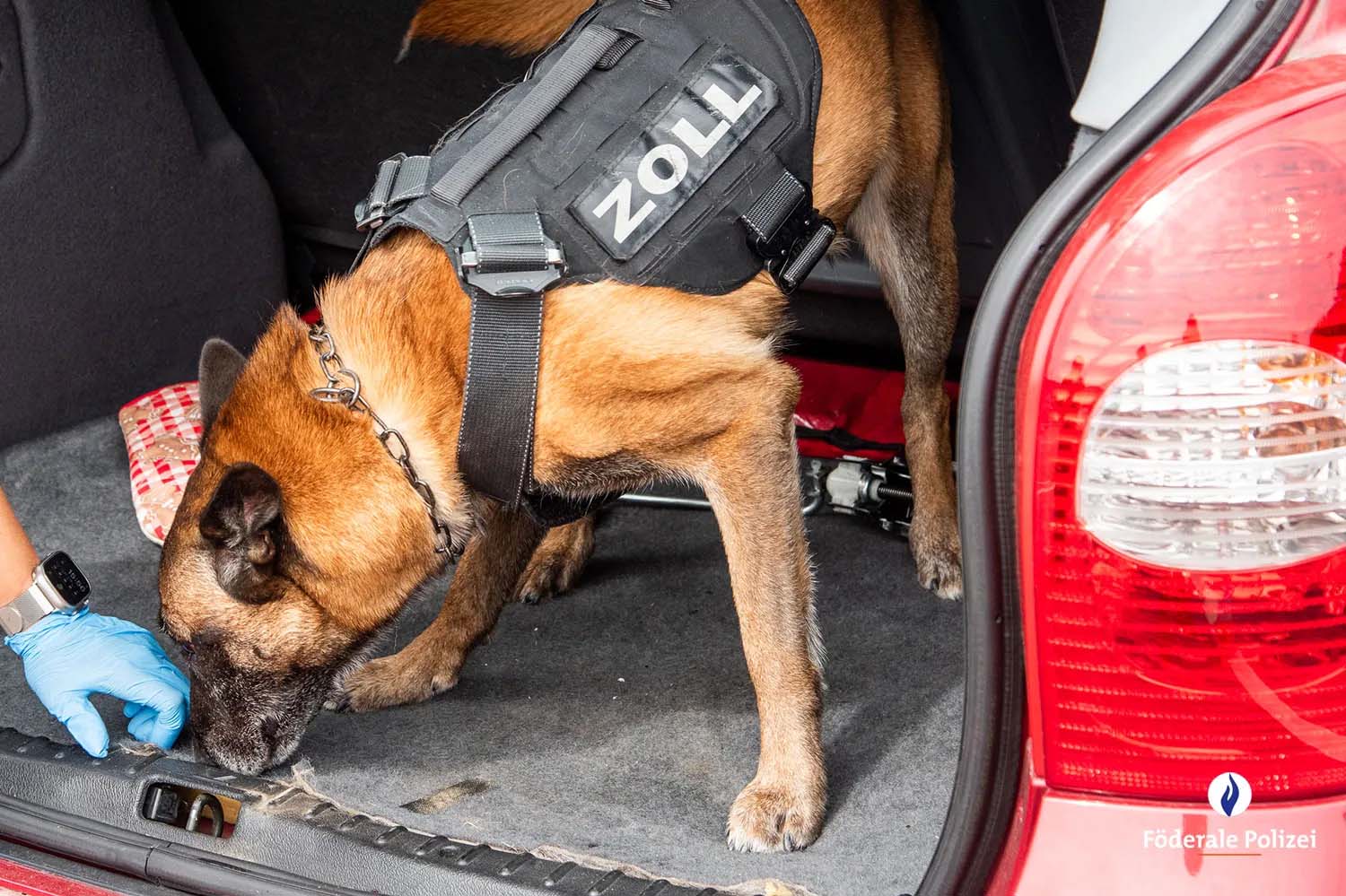 Politiecontrole Euregio