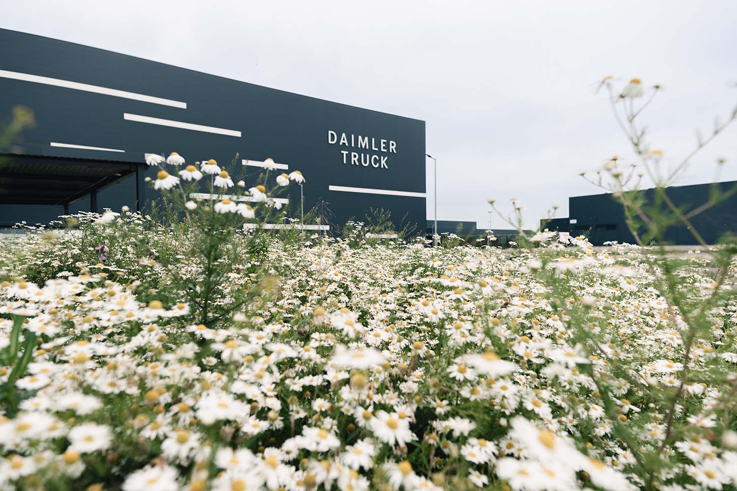 Daimler Truck Global Parts Center Halberstadt
Daimler Truck Global Parts Center Halberstadt, Germany