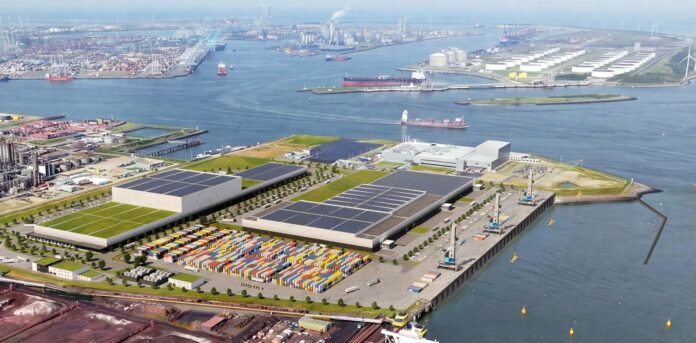 Rotterdam Food Hub