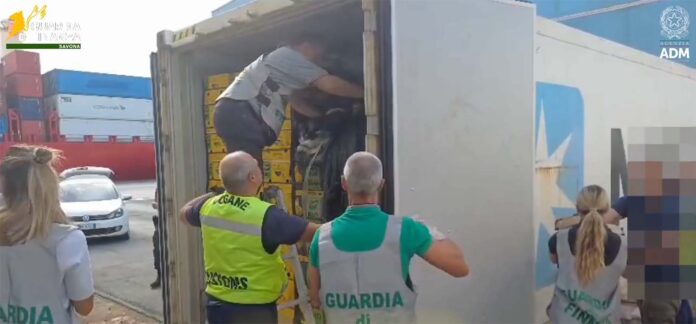 770-kilo drugs in contaier in haven Vado Ligure