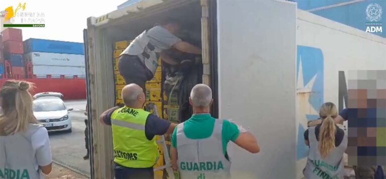 Bijna 800 kilo zuivere cocaïne onderschept tussen bananen in haven van Vado Ligure [+video]