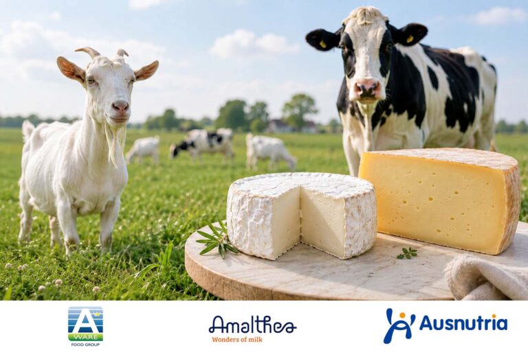 Royal A-ware neemt belang in geitenzuivelproducent Amalthea