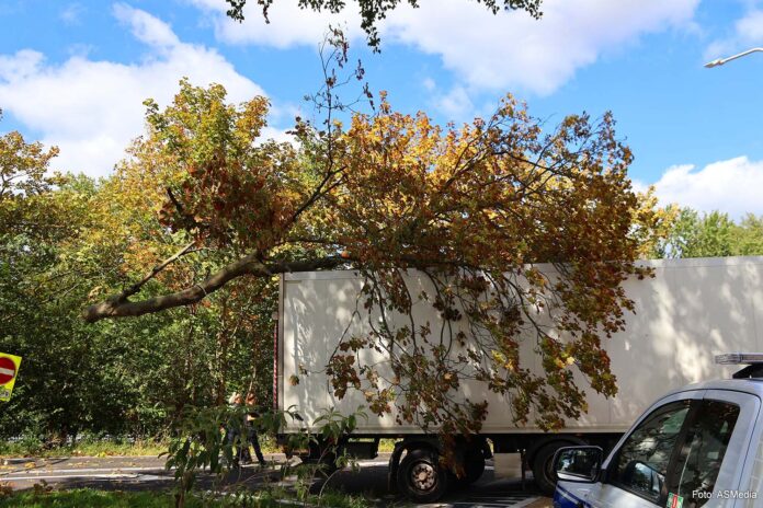 boom op trailer Katwijk