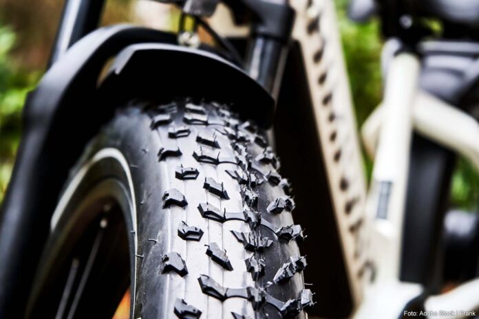 Fatbike