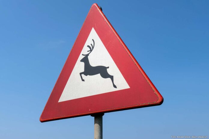 Overstekend Wild