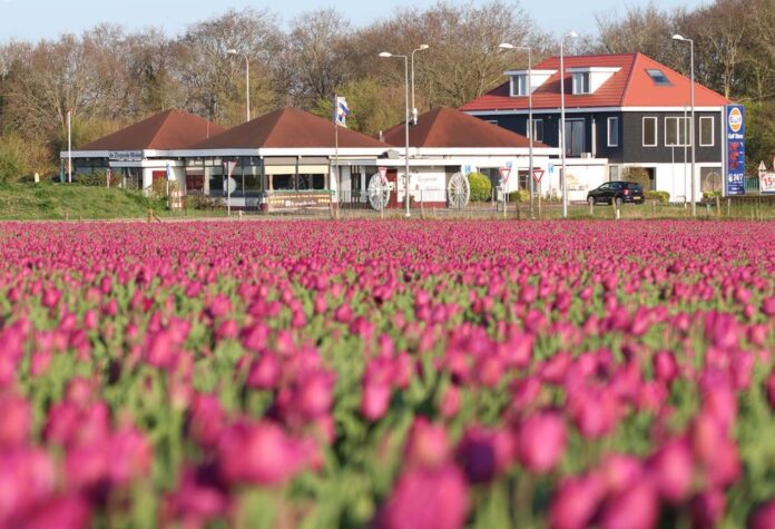 Restaurant De Zingende Wielen
