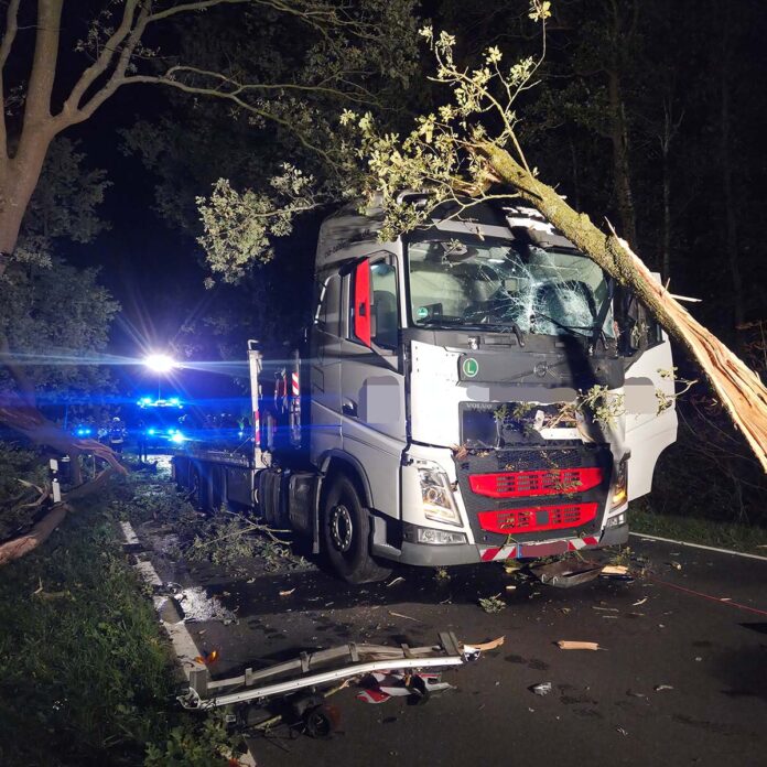 Boom op vrachtwagen