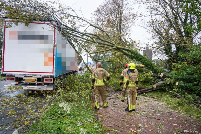 Boom op vrachtwagen