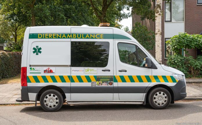 Dierenambulance