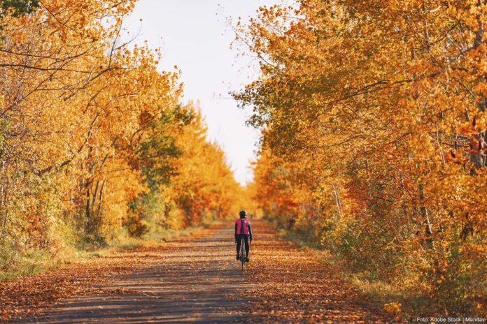 Fiets Herfst
