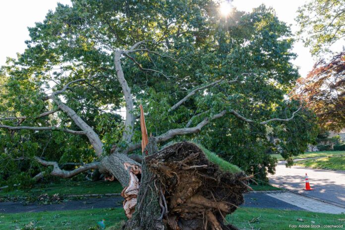 Stormschade